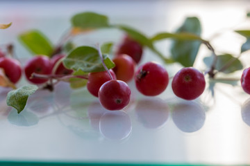 Wall Mural - wild tiny apples are waiting to be jam on a white background