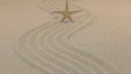 Wall Mural - Approximation of the yellow starfish standing on the sandy lines leaving for the horizon.