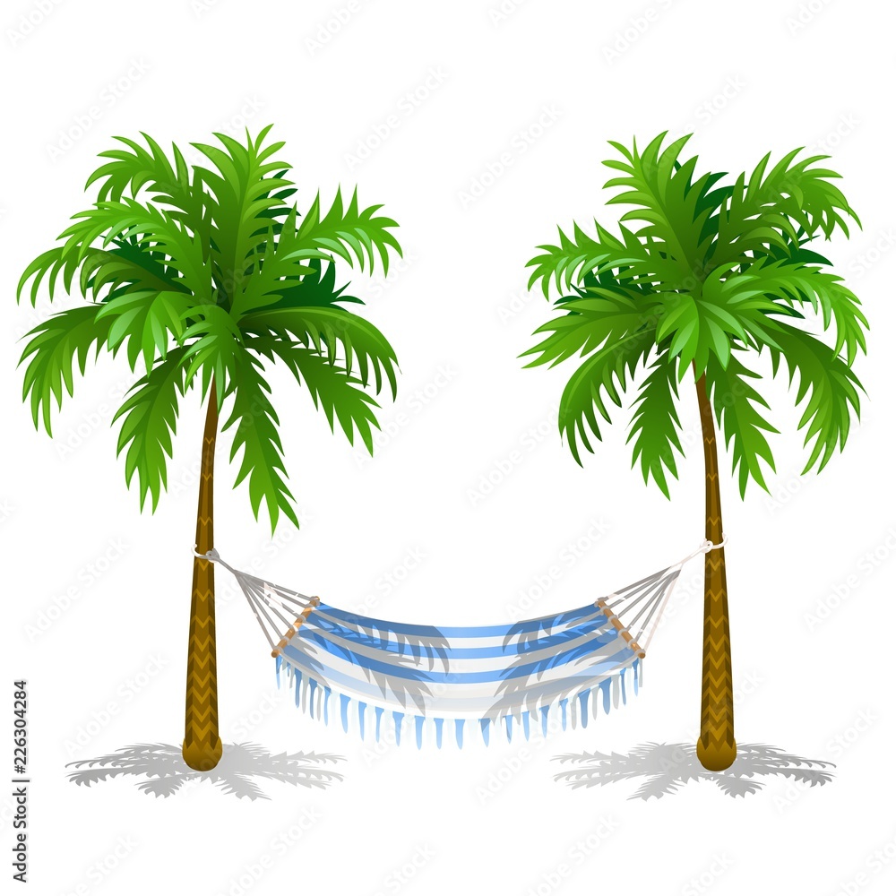 Hammock between two palm trees isolated on white background. Service on the  beach. Vector cartoon close-up illustration. Stock Vector | Adobe Stock, image size:1000x1000