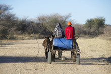 Donkey Cart For Collecting Water In The Kalahari, Botswana