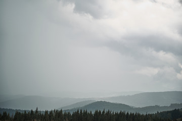 Panoramic shot of beautiful Carpathian mountains covered with morning mist