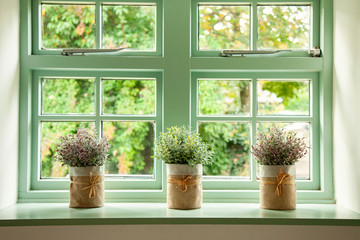 Green cottage window, with plants in pots in front