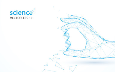 Fototapete - Hand holding DNA structure form lines, triangles and particle style design. Illustration vector