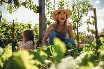 family working on allotment together