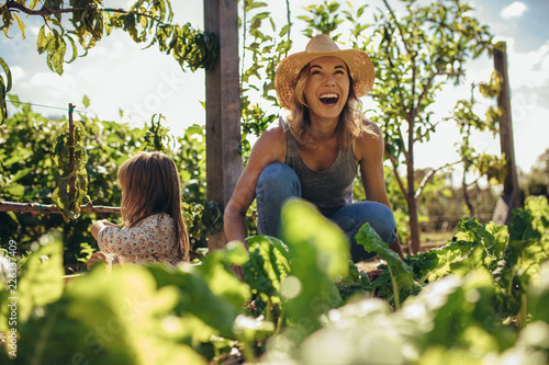 Fotomural Family working on allotment together