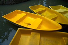 Yellow Row Boats 
