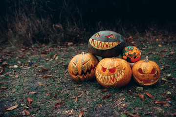 Group of halloween pumpkins with a carved face lying on the ground in a dark mystical forest