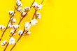 Branch of cotton on yellow background top view space for text