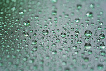 Wall Mural - rain drops on car glass with hydrophobic coating macro photo