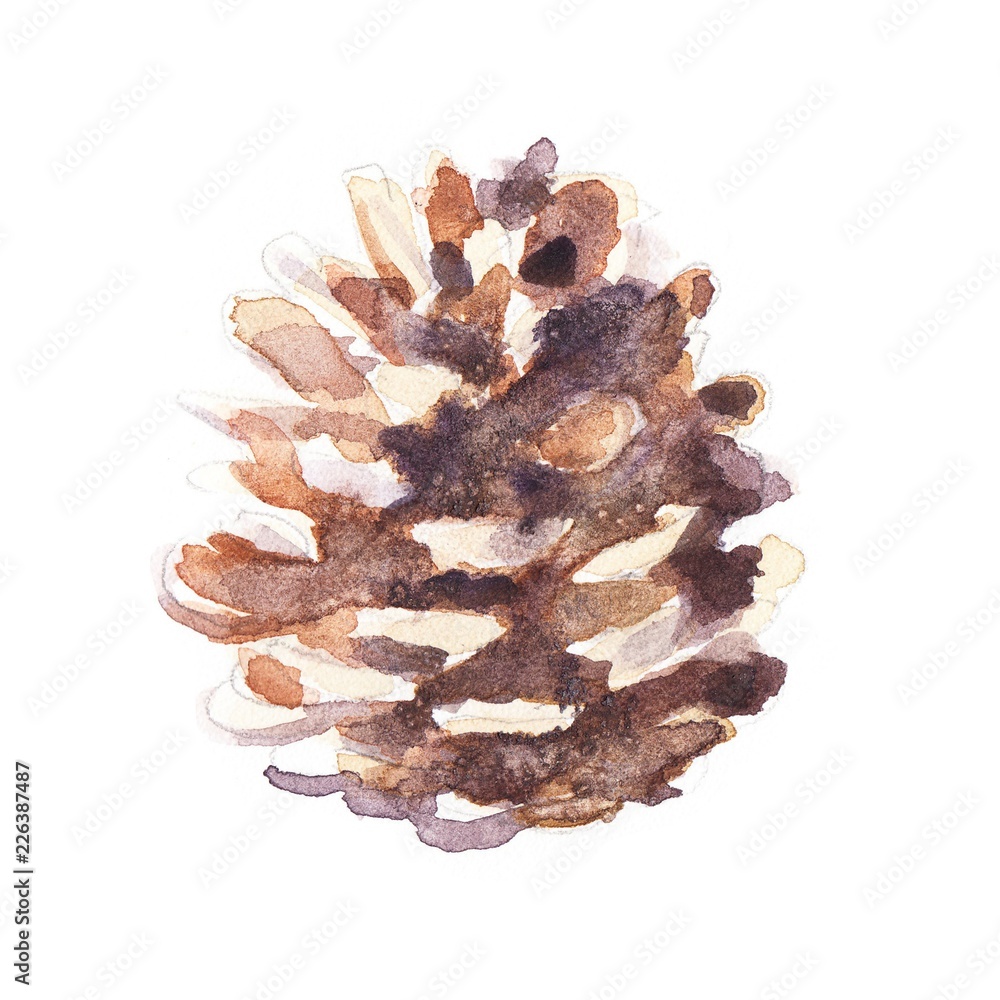 watercolor isolated illustration of christmas tree or pine cones, freehand drawing decorations for christmas and new year drawn by paints - obrazy, fototapety, plakaty 