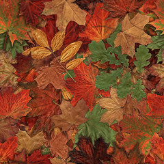 Fallen autumn leaves seamless pattern Yellow Red and Green Autumn Leaves Background.