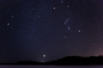 orion and canis minor constellations and sirius above horizon on a cold winter night.