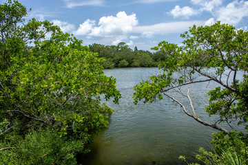 Wall Mural - landscape with river and trees