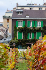 Wall Mural - Colorful house in the vineyard of Montmartre Paris