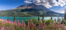 Panorama Scen Of Tagish Lake