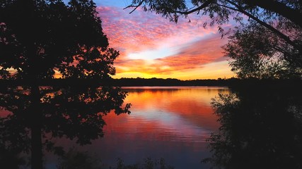 Wall Mural - Amazing predawn twilight sunrise colorful sky and clouds, revealed after flying through silhouetted trees.