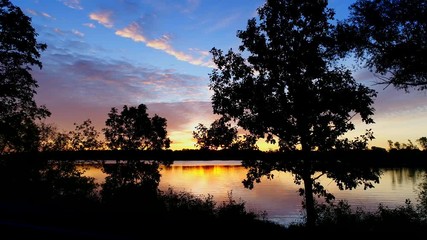 Wall Mural - Amazing predawn twilight sunrise colorful sky and clouds, revealed after flying through silhouetted trees.
