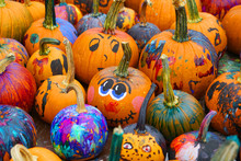 Group Of Colorful Painted Pumpkin For Halloween In Autumn