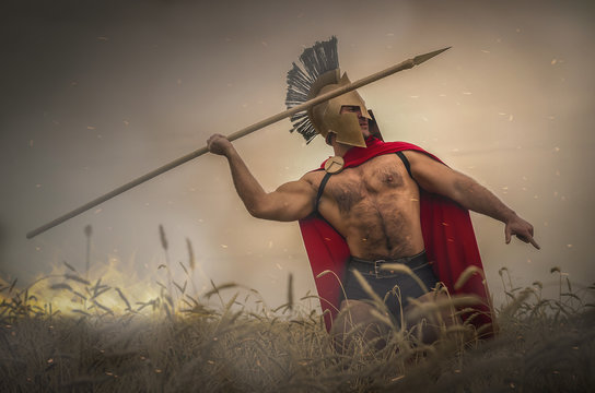 Ancient Spartan warrior in the helm and spear in hand is fighting in the wheat field background.