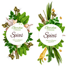 Wall Mural - Organic spices and herbal garden seasonings