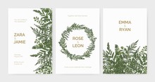 Bundle Of Elegant Stylish Wedding Invitation Templates Decorated With Green Ferns And Wild Herbs On White Background. Colorful Hand Drawn Vector Illustration In Beautiful Exquisite Antique Style.