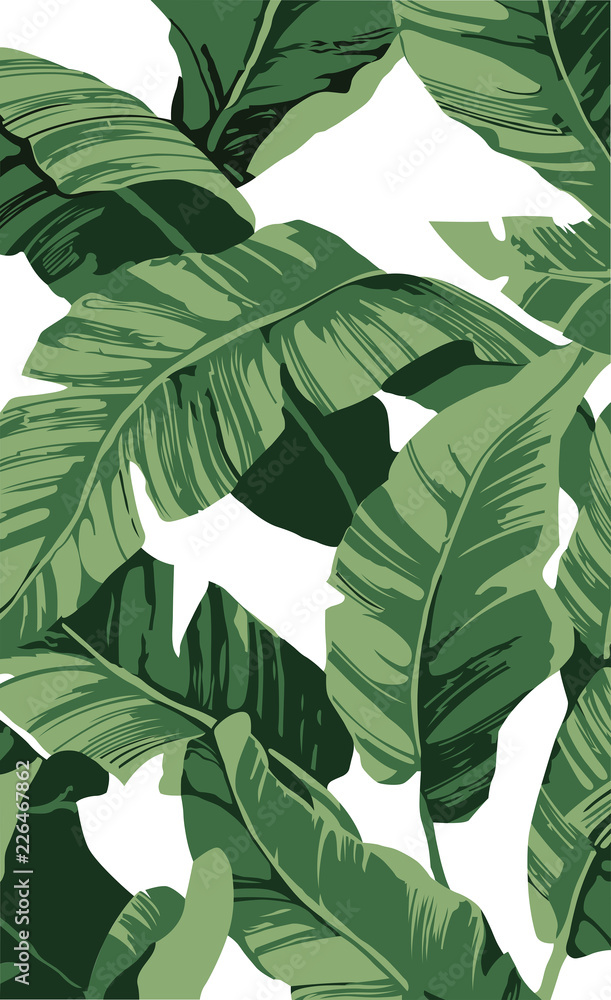 Pattern banana tree and leaves that it is a tropical plant on white background, flat line vector and illustration. - obrazy, fototapety, plakaty 
