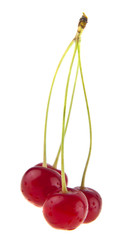 red cherry isolated on white background