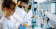 © NDABCREATIVITY - Young students of chemistry working in laboratory