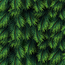 Fir Tree Branches Pattern. Christmas Background With Green Pine Branching. Happy New Year Vector Decor. Branch Green Fir Background Illustration