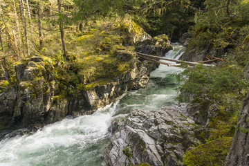 View of Little Qualicum Falls on Vancouver Island, Canada