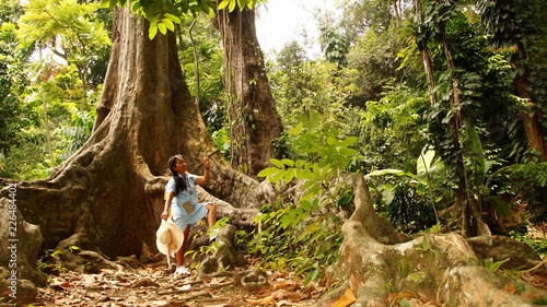 Vászonkép  junge Indonesierin betrachtet riesigen Baum mit Brettwurzeln im tropischen Regen