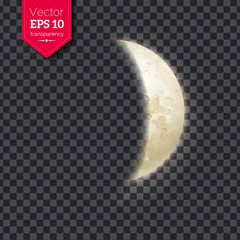 Wall Mural - Vector illustration of growing moon phase