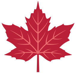red maple leaf vector illustration
