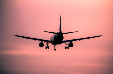 Wall Mural - Airplane landing at sunset