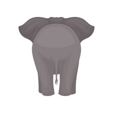 Back View Of Standing Elephant. Wild Mammal Animal With Gray Skin, Large Ears And Long Tail. Flat Vector Design