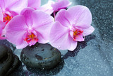 Fototapeta Desenie - Pink orchids flowers and spa stones . Spa background.