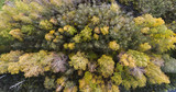 Fototapeta Pomosty - Autumn forest aerial drone view