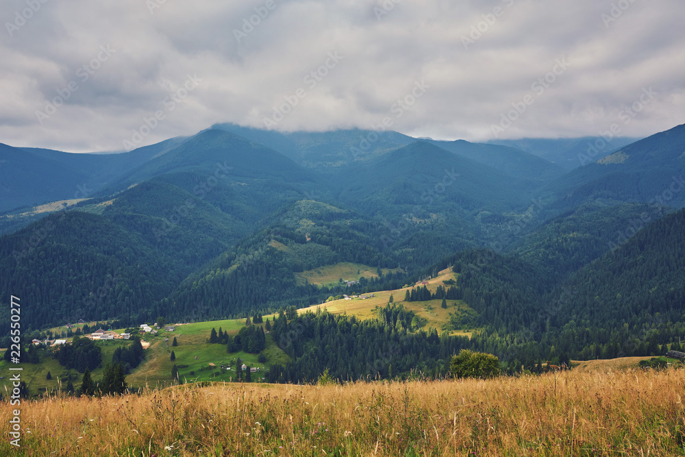 mountainous landscape with forested hills. beautiful summer - obrazy, fototapety, plakaty 