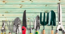Row Of Gardening Tools On Wooden Background