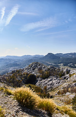 Wall Mural - View of the nature of Montenegro from Lovcen mountain. Lovcen national Park. Summer