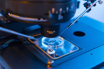 man technician working with laboratory equipment