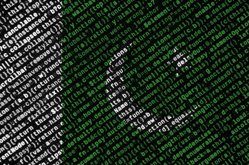 Pakistan flag  is depicted on the screen with the program code. The concept of modern technology and site development