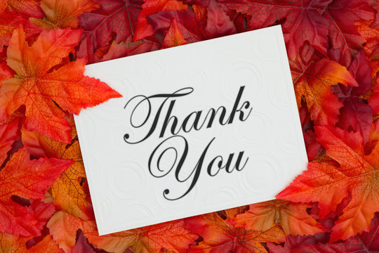 Thank You greeting card on fall leaves