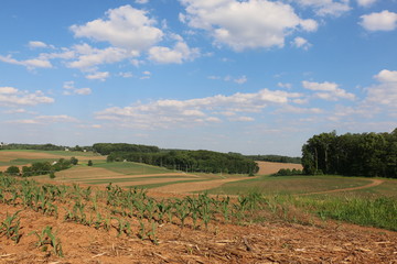 Countryside