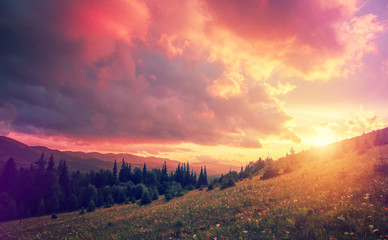 Fototapete - fantastic colorful landscape. overcast clouds glowing in sunlight over the mountain meadow. picturesque nature view. dramatic scene. artistic creative image. soft light effect. instagram filter.