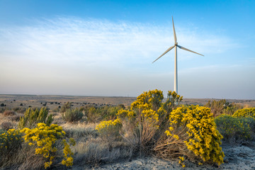 Windmill turbines generating power in Eastern Oregon.