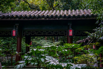 Wall Mural - Captured in Hangzhou Xixi Wetland scenery