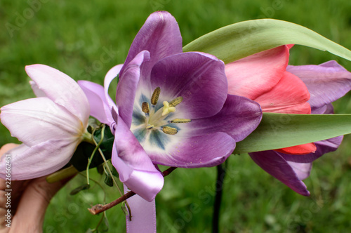 Pink Tulips Flower Crown