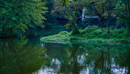 Wall Mural - Captured in Hangzhou Xixi Wetland scenery