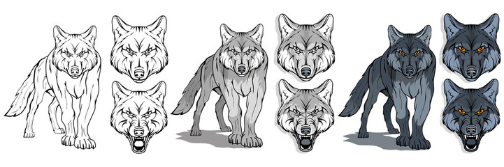 Wall Mural - wolf, isolated on white background, colour illustration, suitable as logo or team mascot, dangerous forest predator, wolf's head, wild animal, gray wolf in full growth, vector graphics to design